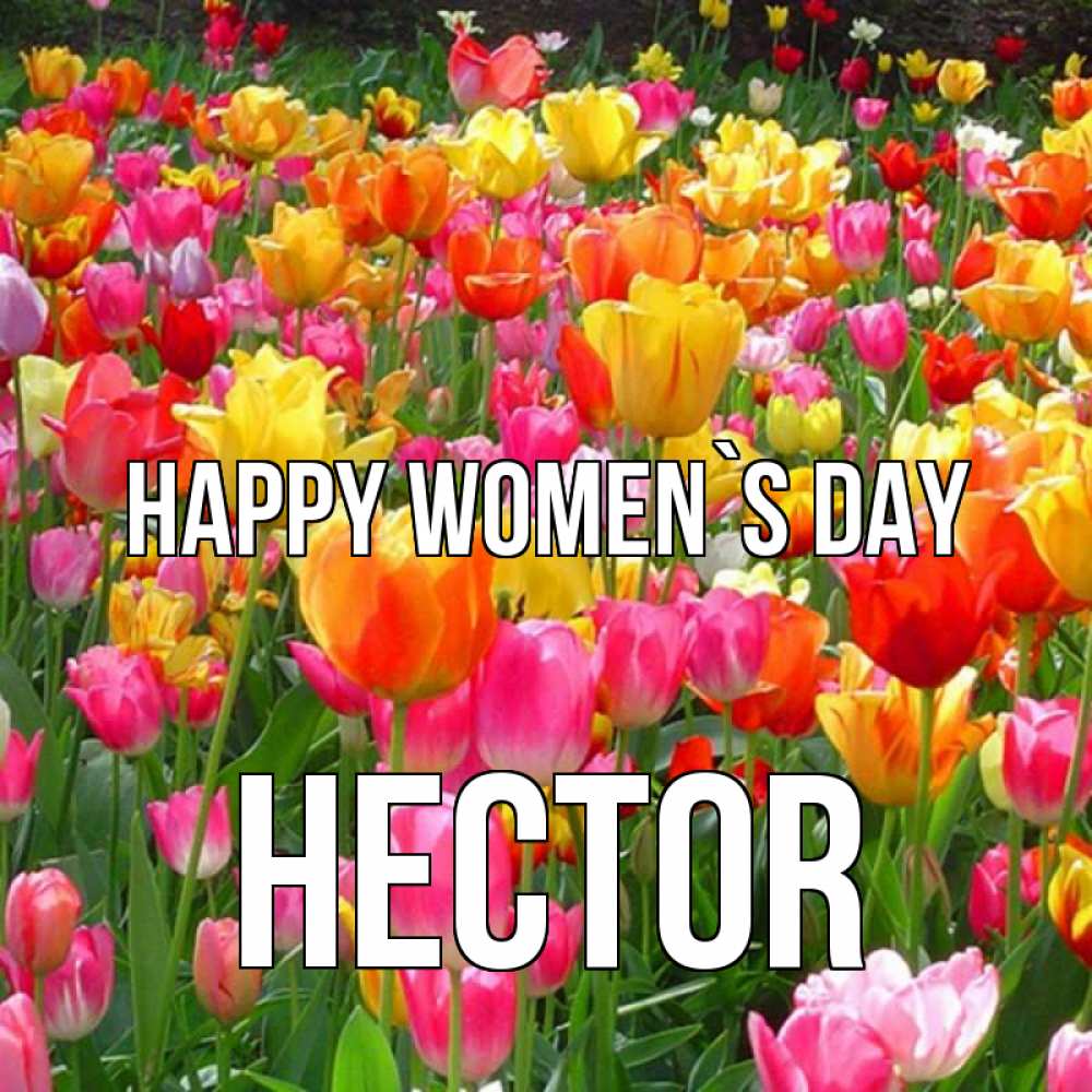 Greetings card с именем, Hector happy women`s day на международный женский день Greetings with text for free download 
